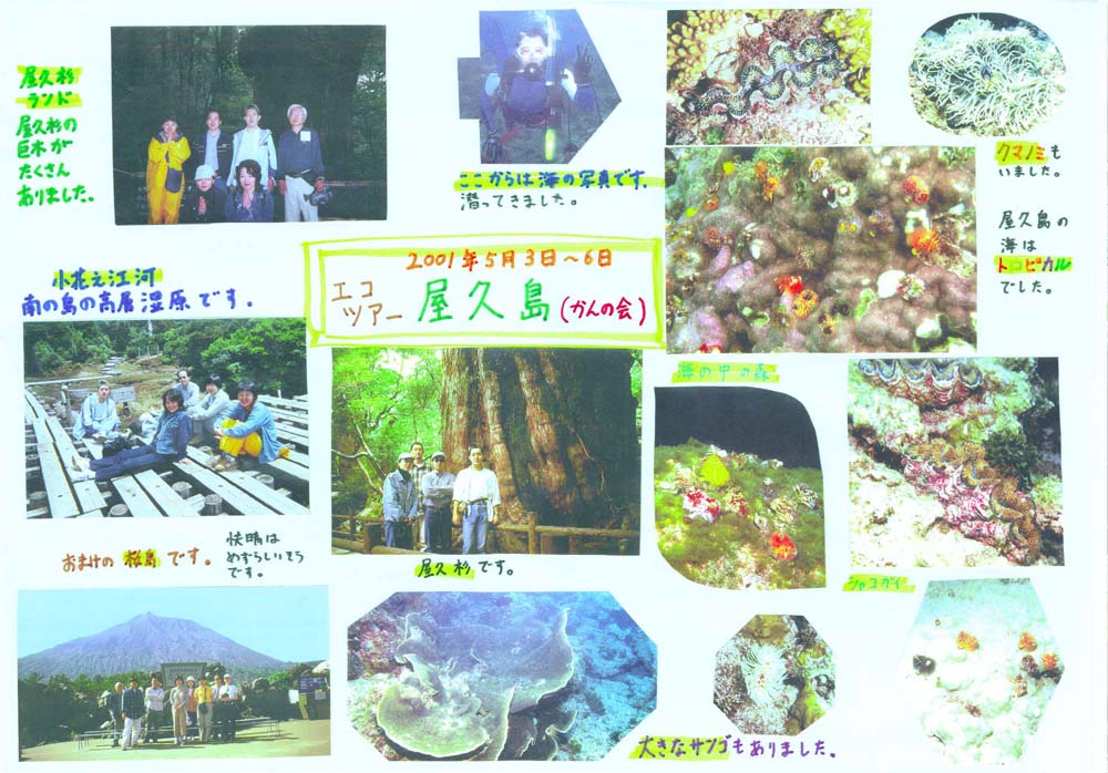 かんの会エコツアーin屋久島